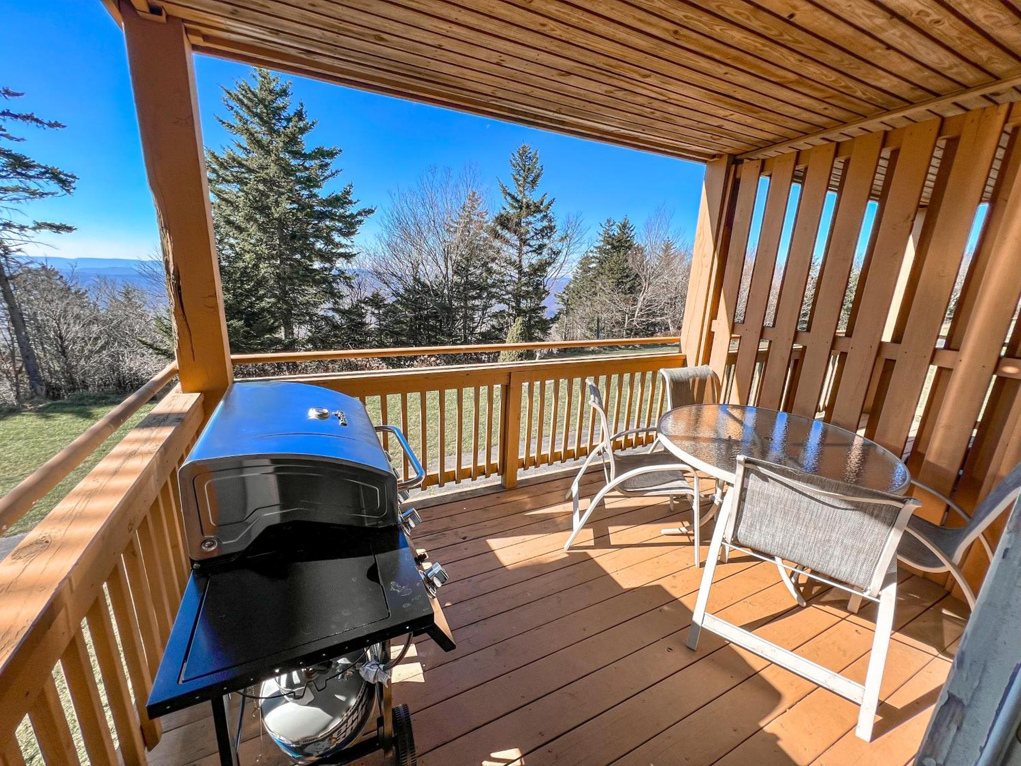 Remodeled Summit Condo At Snowshoe - Modern & Cozy Экстерьер фото